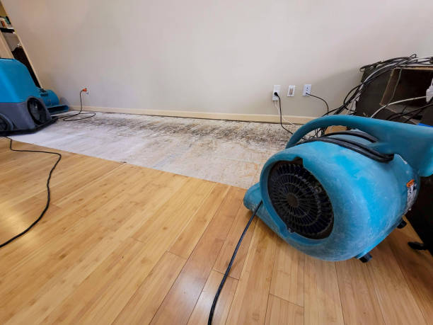 Professional Basement Flood Cleanup technician working in Bim, WV